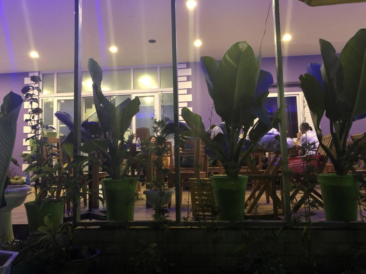 Q Songchi Hotel Chi Khu Co Ong ภายนอก รูปภาพ